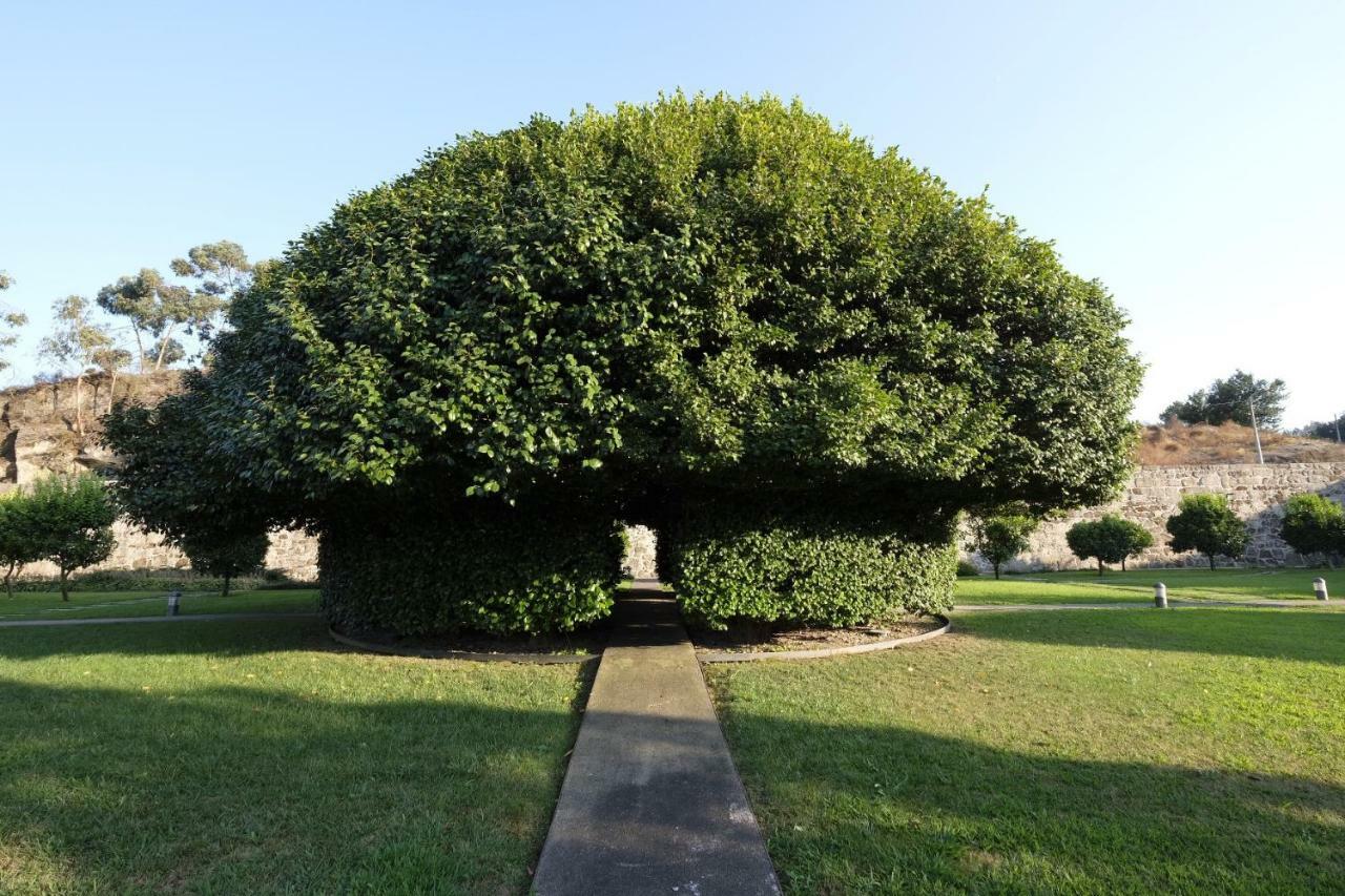 Quinta Das Lavandeiras - Caldas De วิเซลา ภายนอก รูปภาพ